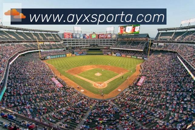 App Interface Preview